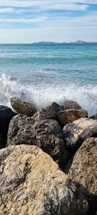 Image de Le Standart Marseille